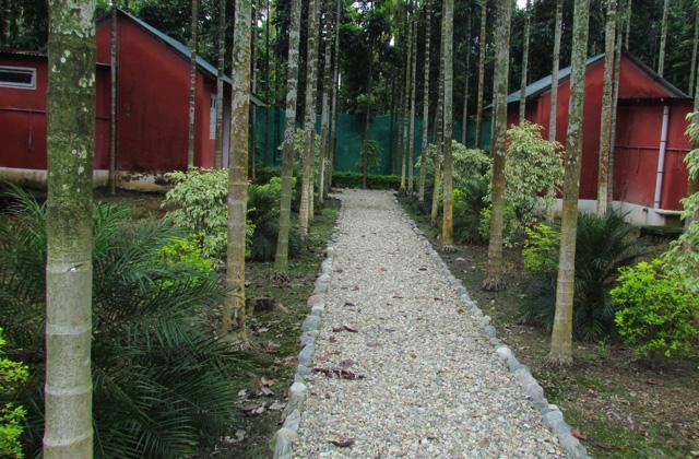 Resort Jayanti Hills Jungle Camp Rajabhat Khawa المظهر الخارجي الصورة